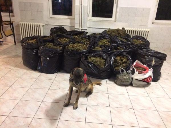 Eskişehir'de jandarma 98 kilo esrar ele geçirdi