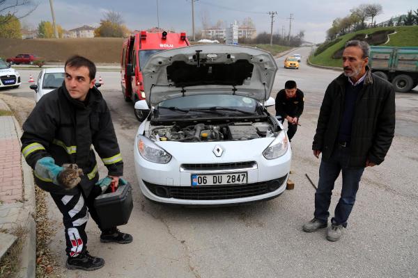 Otomobilin motorunda sıkışan kediyi itfaiye kurtardı