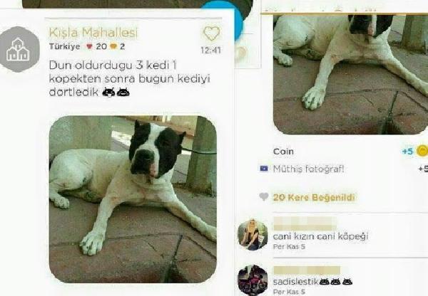 Köpekli dehşete 12 bin TL’lik cezayı Valilik onayladı