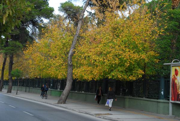İzmir'de sonbahar renkleri