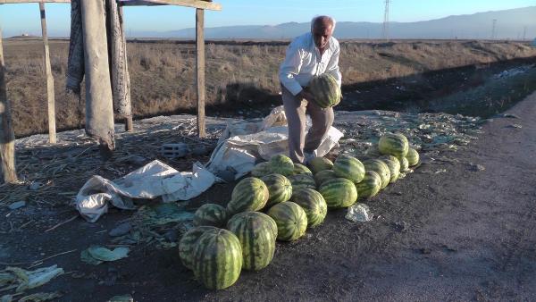 Kışlık karpuzun kilosu, yazınkinin 4 katı