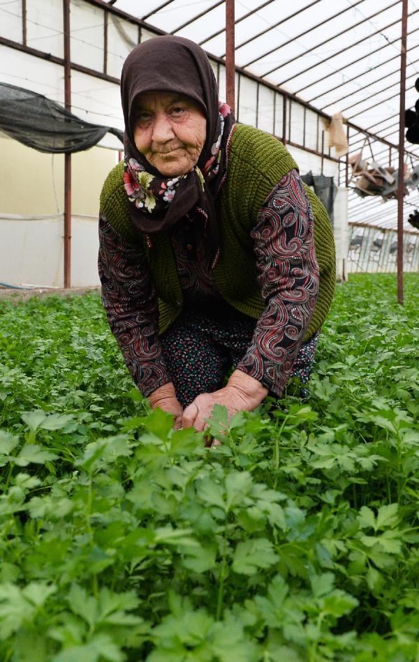 Seradan çıkıp spora koşuyorlar