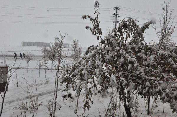Kar nedeniyle Van ve Bitlis'te bazı yollar kapandı