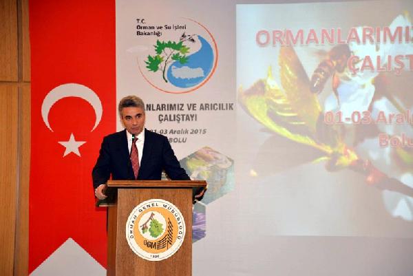 Bolu'da, 'Ormanlarımız ve Arıcılık Çalıştayı'