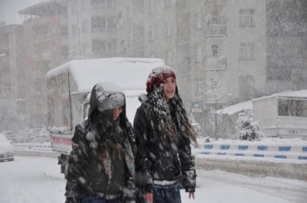 Van, Hakkari ve Bitlis'te kar yolları kapattı