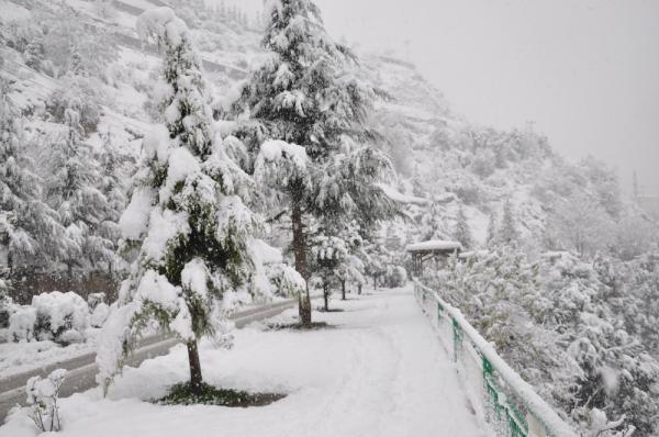 Artvin’de okullara kar tatili