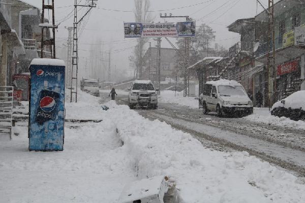 Doğu'da kar hayatı durma noktasına getirdi (2)