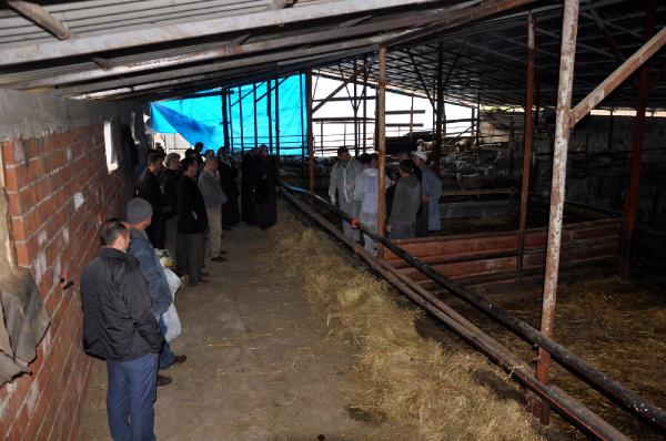 Zonguldak'ta 'sürü yönetimi' eğitimi