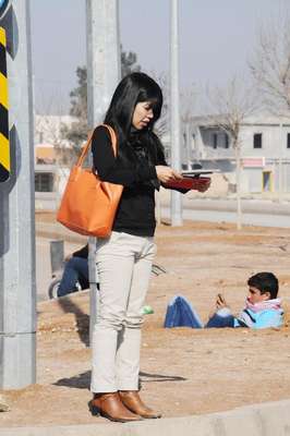 Japon kadın gazeteci Şanlıurfa'da kazada öldü