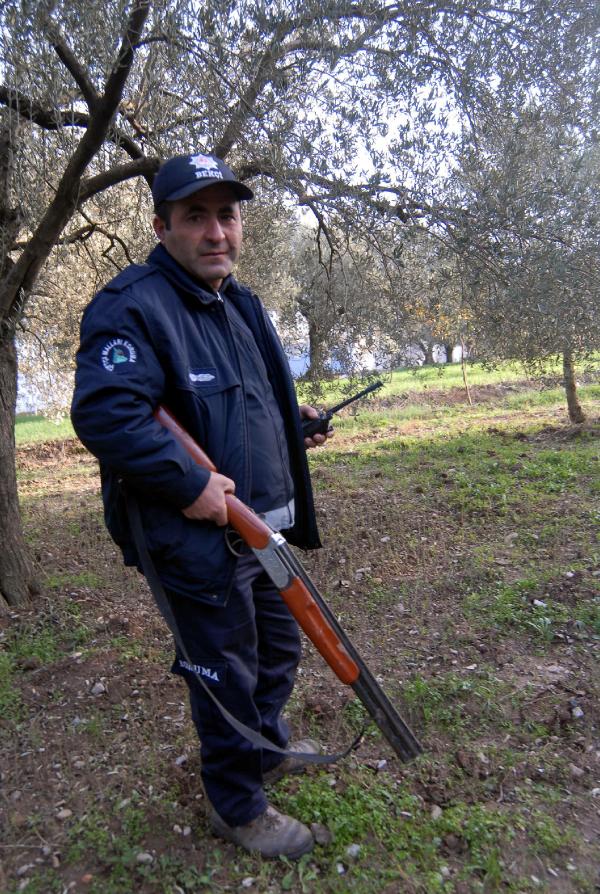 Zeytinde zamlı fiyat üreticiyi bile korkuttu