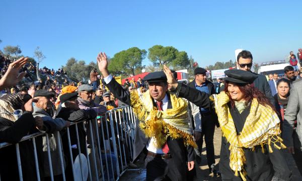 Pehlivan develer Koçarlı arenasında kapıştı