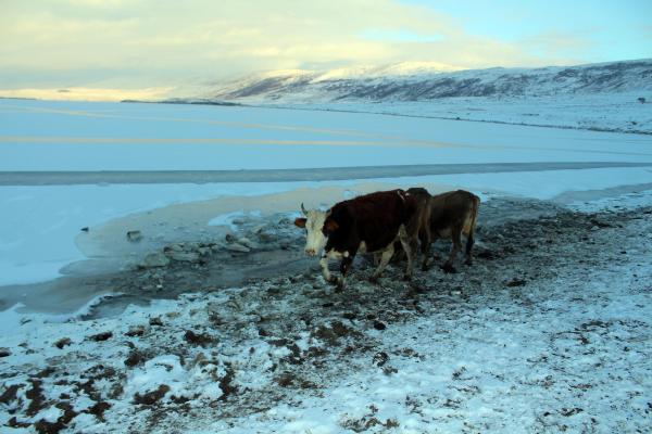 Doğu'da Sibirya soğukları göl ve dereleri dondurdu
