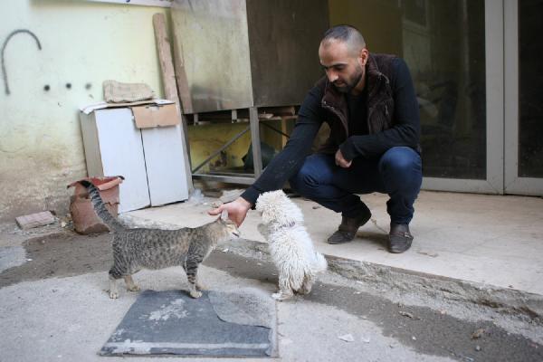Kedi- köpek dostluğu