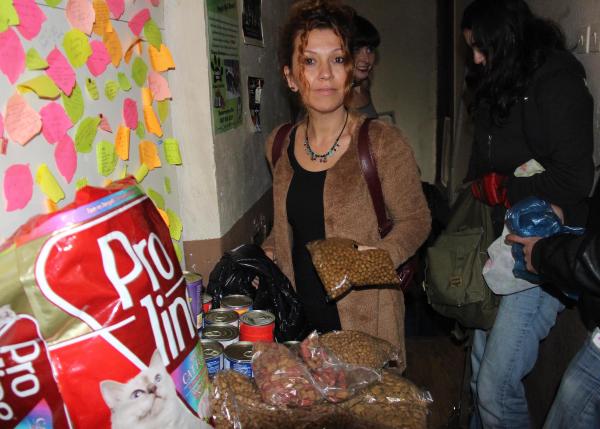 Bir gecede 110 kilo mama topladılar