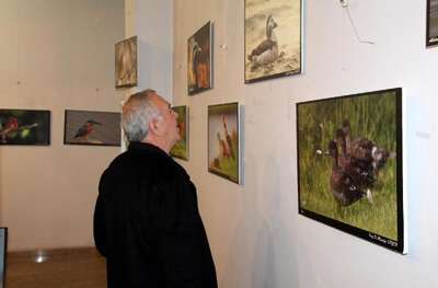 Zonguldak kuşları fotoğraf sergisi ilgi gördü