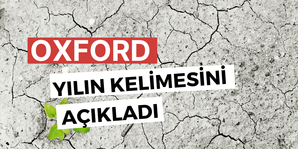 Yılın kelimesi seçildi