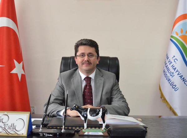 Şap yüzünden Denizli'de hayvan hareketi yasaklandı