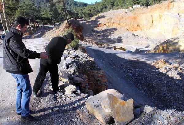Taş ocağında bitki fosili bulundu