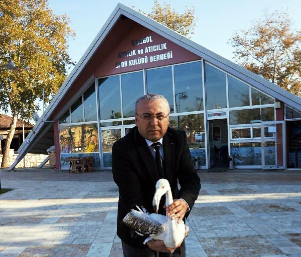 Sarıgöl'de flamingo heyecanı