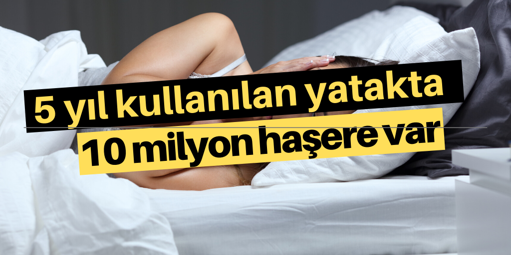 5 yıl kullanılan yatakta 10 milyon haşere var