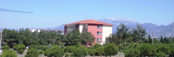 Denizli'de ağaç nöbetine 9 gözaltı