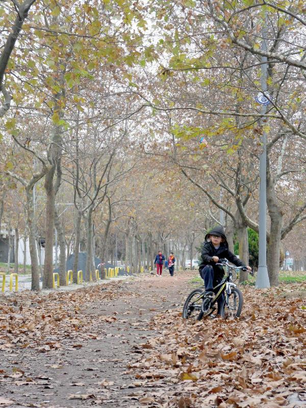 Avcılar'da sahil ve 'orman havası' bir arada