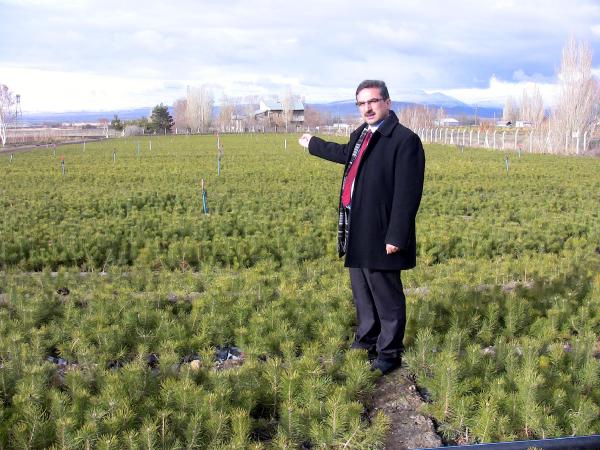 Doğu Anadolu'nun 6 ilinde 6 milyon fidan toprakla buluştu