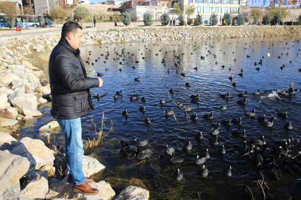 Mogan'da aç kalan kuşlara yem