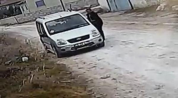 Yavru kedileri ölüme terk etti 1200 lira para cezası verildi
