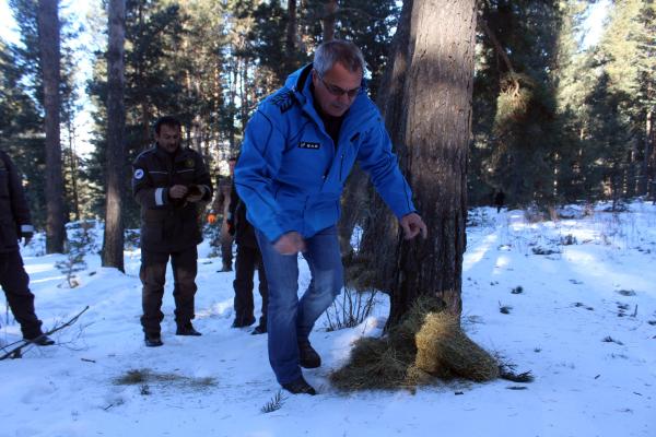 Ardahan Valisi, dağda yaban hayvanları için yem bıraktı