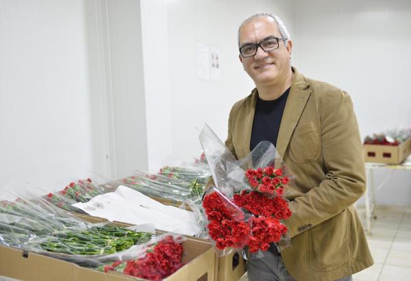 Avrupa'ya 50 milyon dal yılbaşı çiçeği ve Noel süsü ihracı