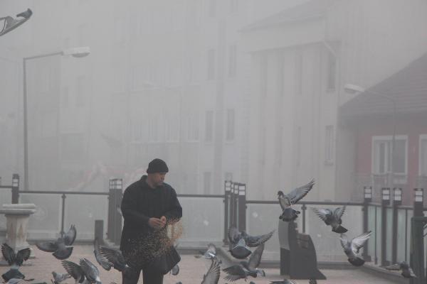 Bolu'da sis etkili oldu