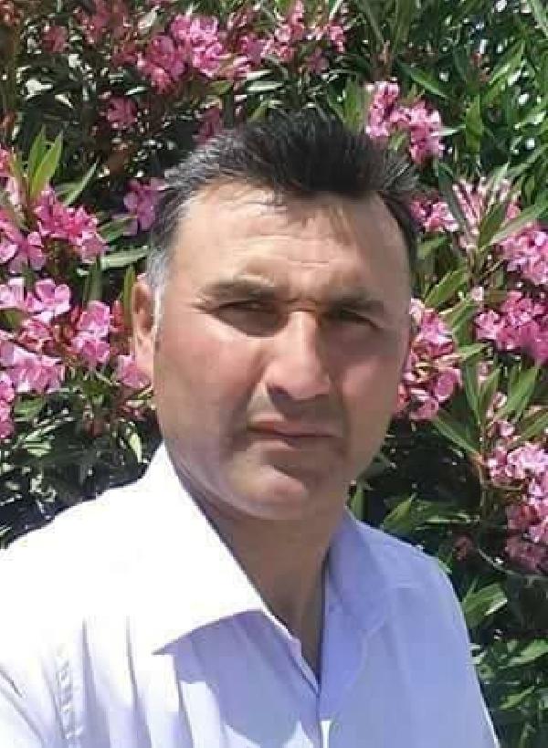 Kestiği ağacın altında can verdi