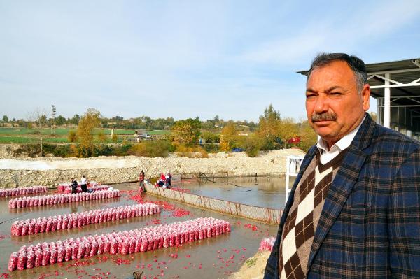 Turp üreticisinin zararı 5 milyon lira
