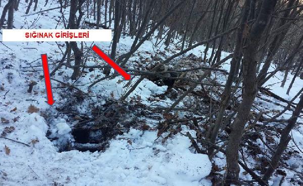 Bitlis'te PKK'ya ait 7 sığınak bulundu
