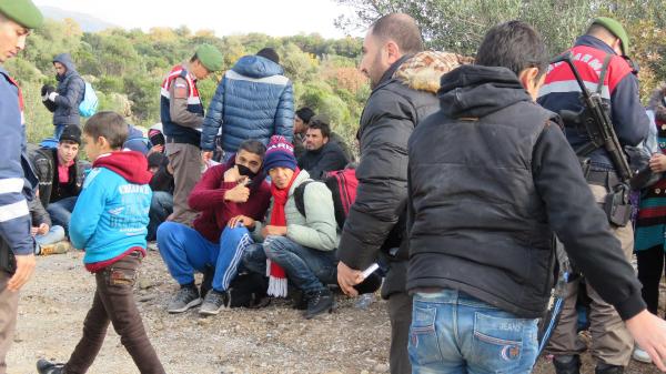 Ayvacık'ta 385 kaçak yakalandı