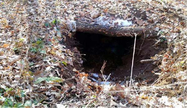 Tunceli'de terör örgütlerine yönelik operasyonlar devam ediyor