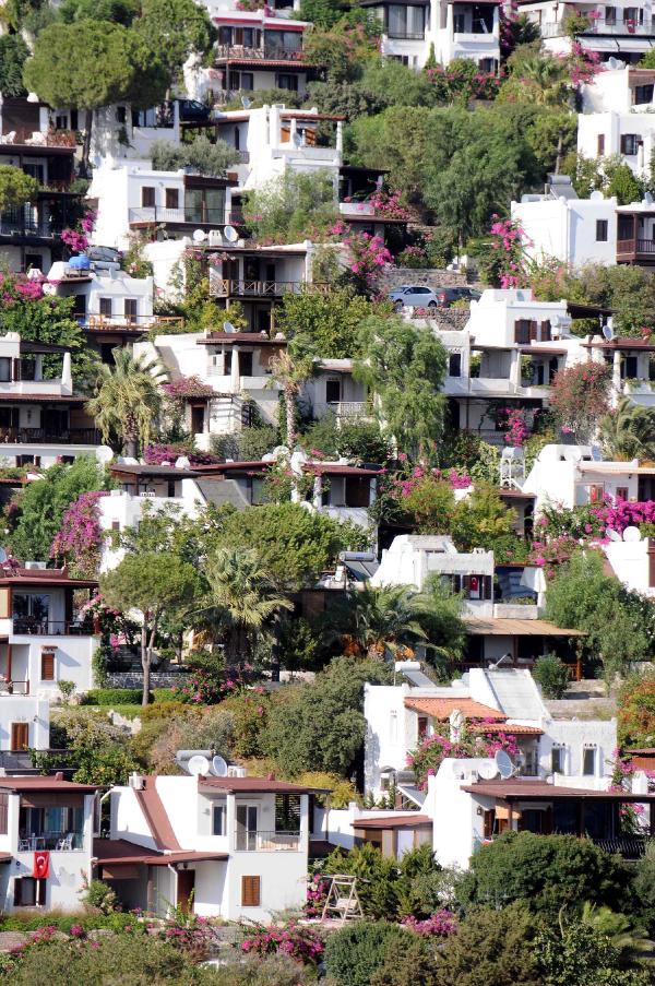 Kocadon: Bodrum'da narenciye beyaz evlere yenik düştü