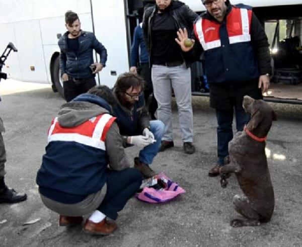 Manisa'da 2 otobüste eroin ele geçti