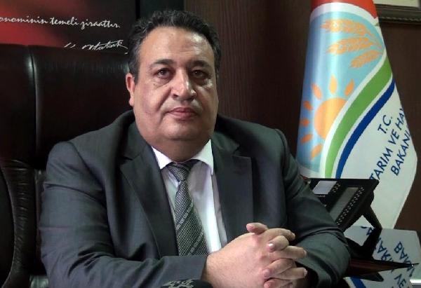 Sivas'ta şap hastalığı 58 hayvanı telef etti