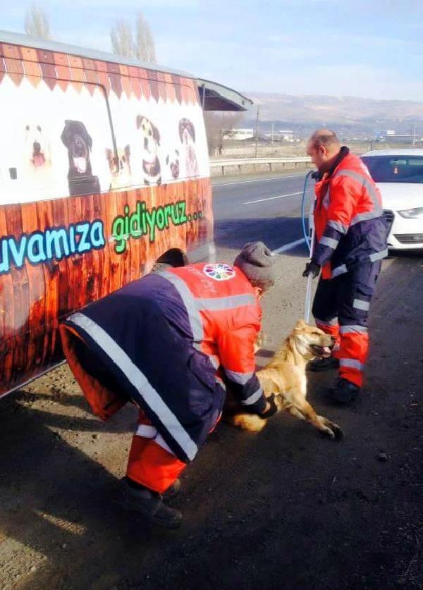 Köpeğe özensiz davranış, görevlerinden etti