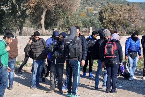 Ayvacık'ta 281 kaçak yakalandı