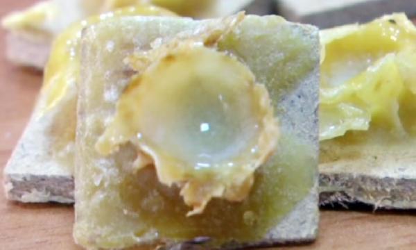 Arı sütünün toptan kilogramı 5- 6 bin TL