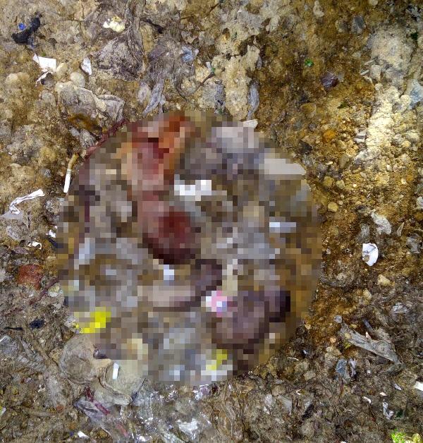 Adana çöplüğünde 26 cenin bulundu