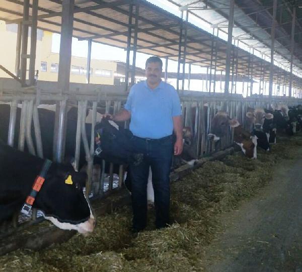 Kahta Hayvan Pazarı şap hastalığı nedeniyle kapatıldı