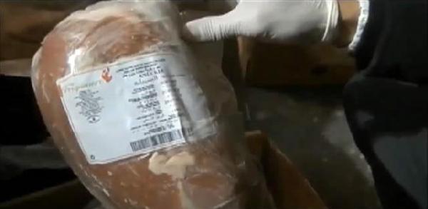 Tuzla'da Paraguay'dan getirilen kaçak et ele geçirildi