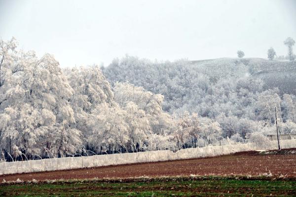 Tokat'ta kırağı güzelliği