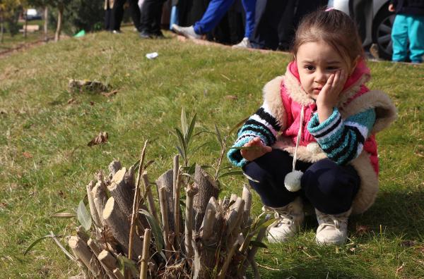 Kahramanmaraş'ta parktaki ağaçların kesilmesine tepki