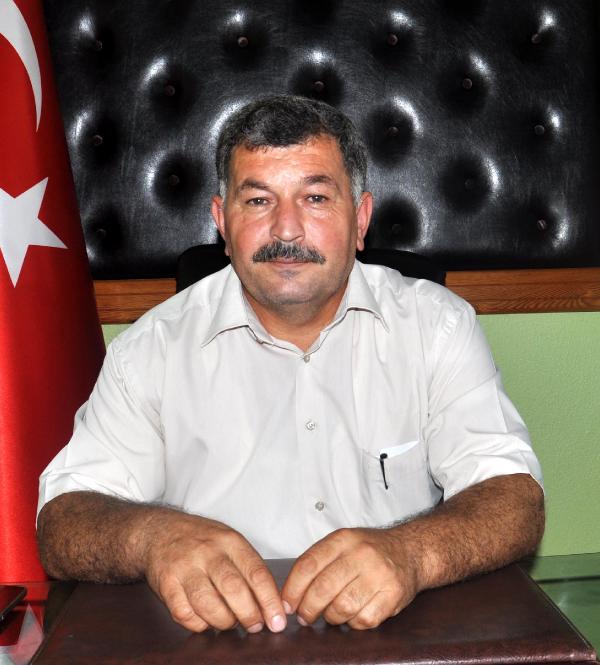 Ziraat Odası Başkanı: Gazipaşa'da günde 100 ton salatalık çaya döküldü
