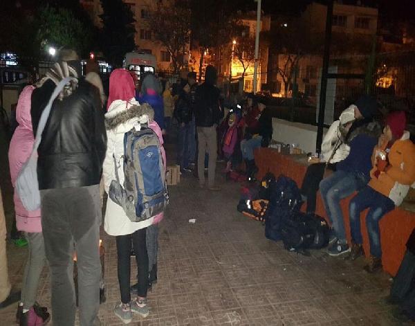 Dikili'de 56 kaçak kurtarıldı